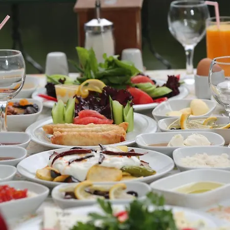 Sakligol Evleri Nocleg ze śniadaniem Camlıkoy
