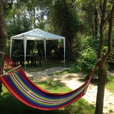 Bed & Breakfast Sakligol Evleri